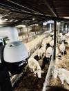 VIDEO-SURVEILLANCE AGRICOLE